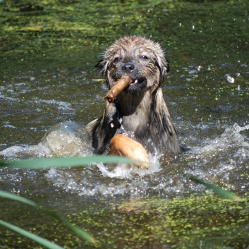 Ausflug mit den Mittelspitzen von der Rosteige an den Weiher 2011 - 14