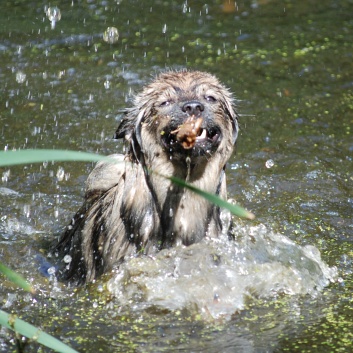 Ausflug mit den Mittelspitzen von der Rosteige an den Weiher 2011 - 15