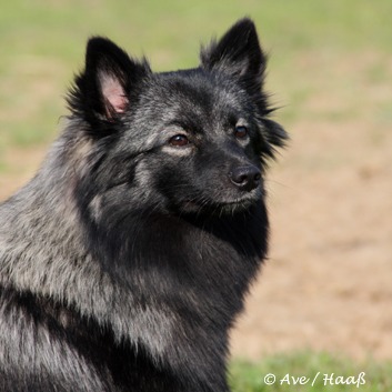 Fee von der Rosteige Portrait