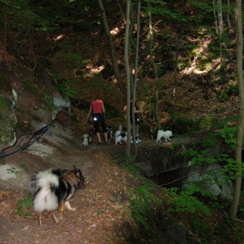 Mittelspitz Aragon von der Rosteige in der Huettlenwaldschlucht 07