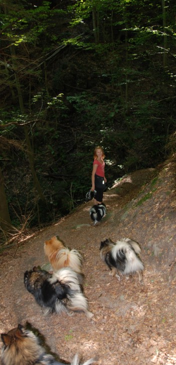 Mittelspitz Aragon von der Rosteige in der Huettlenwaldschlucht 11