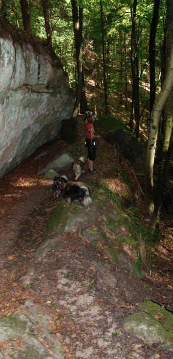 Mittelspitz Aragon von der Rosteige in der Huettlenwaldschlucht 14