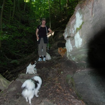 Mittelspitz Aragon von der Rosteige in der Huettlenwaldschlucht 15