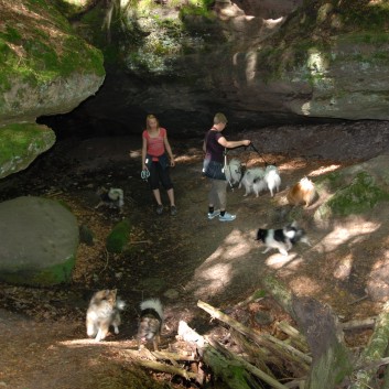 Mittelspitz Aragon von der Rosteige in der Huettlenwaldschlucht 17