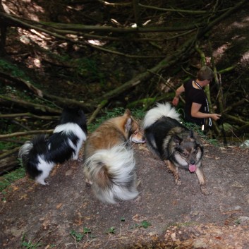 Mittelspitz Aragon von der Rosteige in der Huettlenwaldschlucht 20