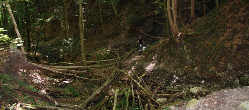 Mittelspitz Aragon von der Rosteige in der Huettlenwaldschlucht 21