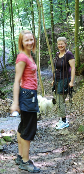 Mittelspitz Aragon von der Rosteige in der Huettlenwaldschlucht 27