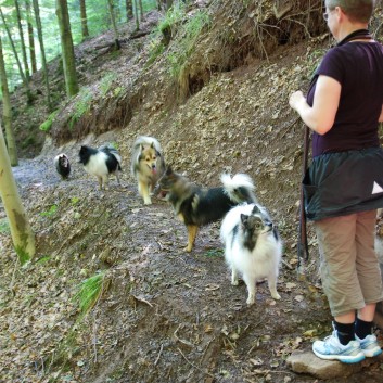 Mittelspitz Aragon von der Rosteige in der Huettlenwaldschlucht 30