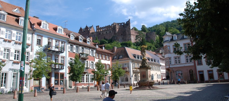 Mittelspitz Aragon von der Rosteige zu Besuch in Heidelberg 05