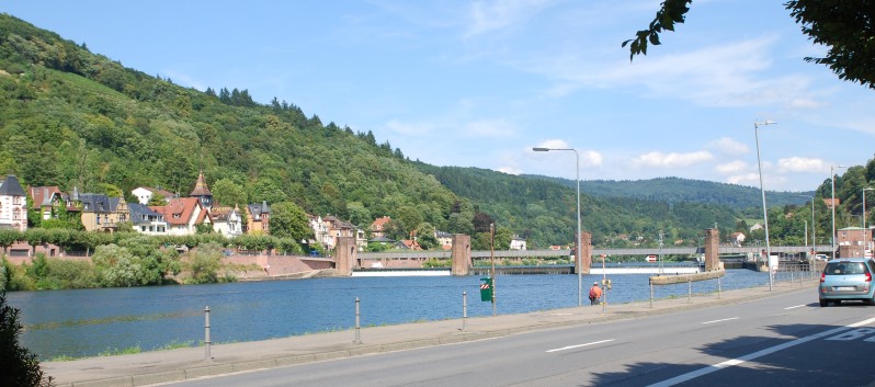 Mittelspitz Aragon von der Rosteige zu Besuch in Heidelberg 12