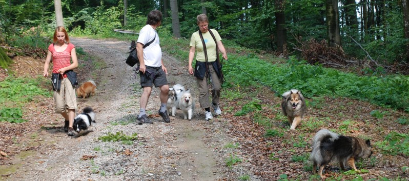 Mittelspitz Aragon von der Rosteige zu Besuch in Spiegelberg 07