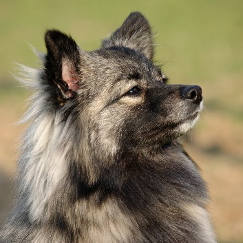 Ella von der Rosteige Portrait